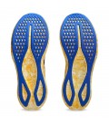 ASICS NOOSA TRI 16